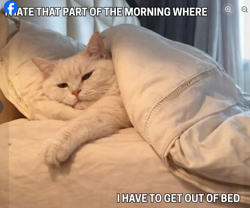 f.ATE THAT PART OF THE MORNING WHERE + Q I HAVE TO GET OUT OF BED