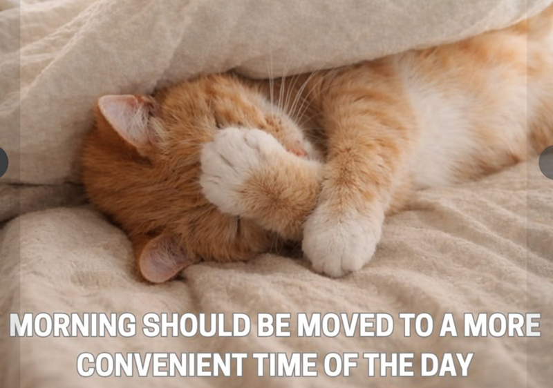 MORNING SHOULD BE MOVED TO A MORE CONVENIENT TIME OF THE DAY