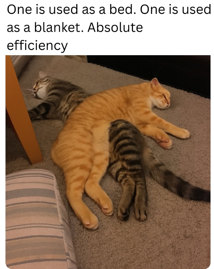 One is used as a bed. One is used as a blanket. Absolute efficiency