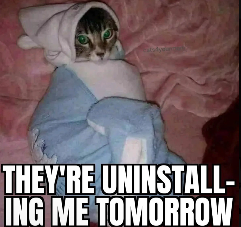 cats4yourman THEY'RE UNINSTALL- ING ME TOMORROW