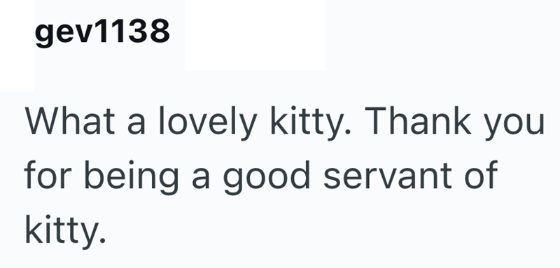 gev1138 What a lovely kitty. Thank you for being a good servant of kitty.