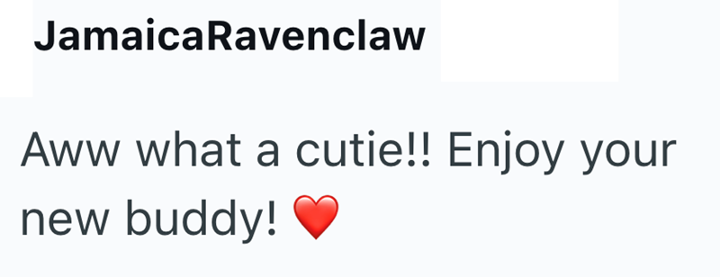 JamaicaRavenclaw Aww what a cutie!! Enjoy your new buddy!