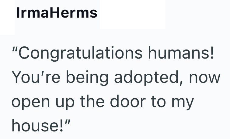 IrmaHerms "Congratulations humans! You're being adopted, now open up the door to my house!"