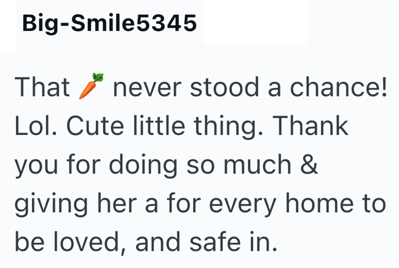 Big-Smile5345 That never stood a chance! Lol. Cute little thing. Thank you for doing so much & giving her a for every home to be loved, and safe in.