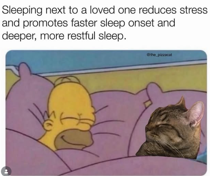 Sleeping next to a loved one reduces stress and promotes faster sleep onset and deeper, more restful sleep. @the_pizzacat