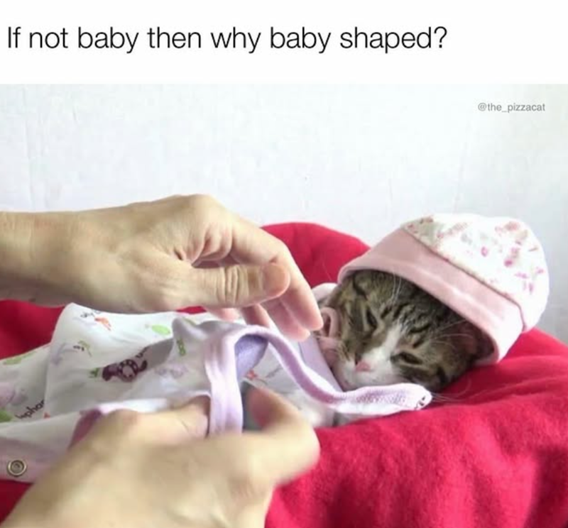 phar If not baby then why baby shaped? @the_pizzacat