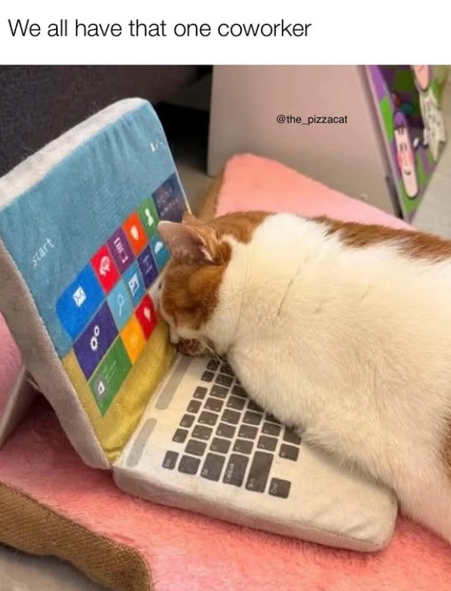 We all have that one coworker start 00 @the_pizzacat B