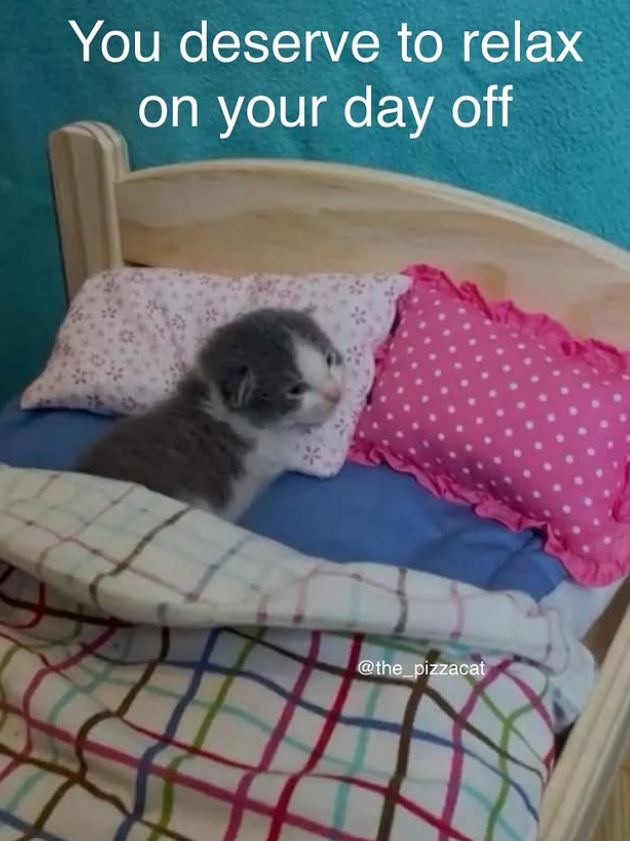 You deserve to relax on your day off @the_pizzacat