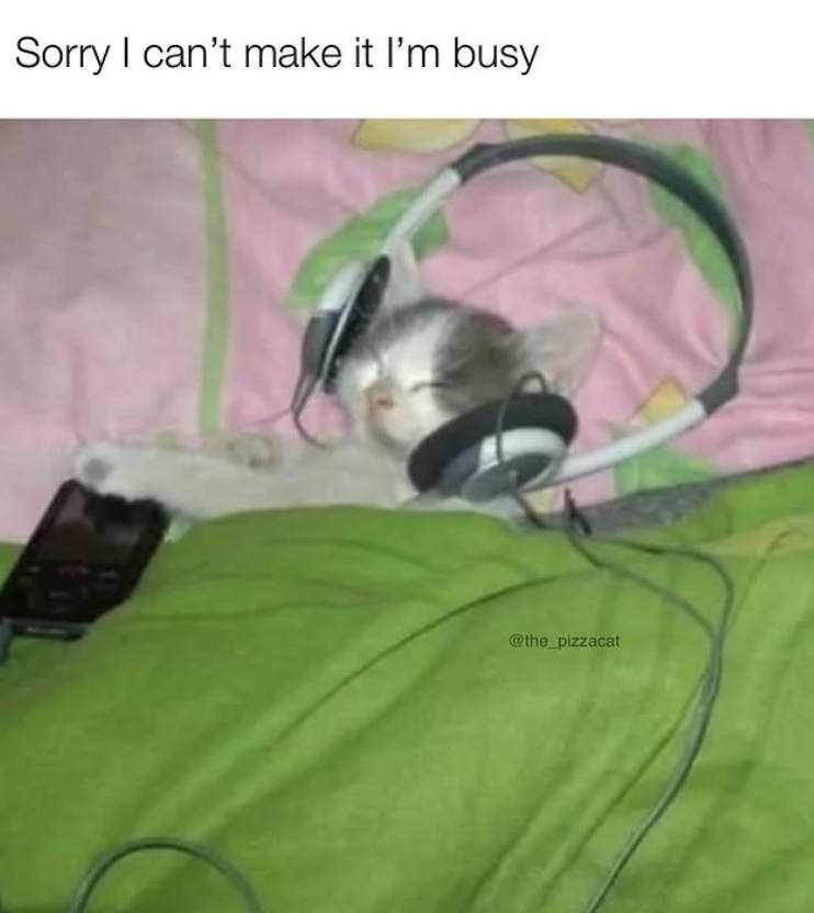 Sorry I can't make it I'm busy @the_pizzacat