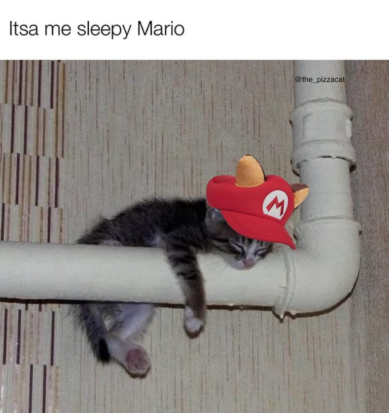 Itsa me sleepy Mario M @the_pizzacat