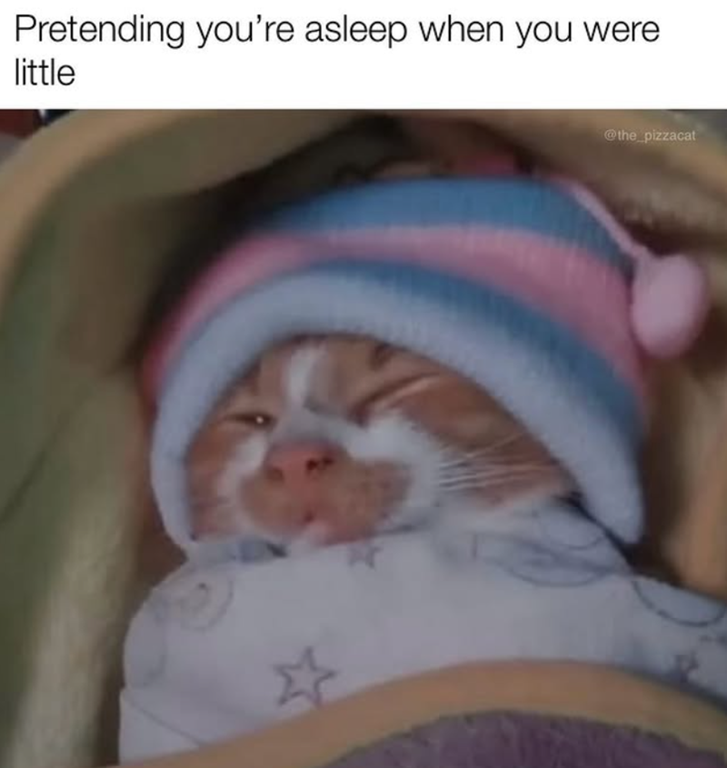 Pretending you're asleep when you were little * @the_pizzacat