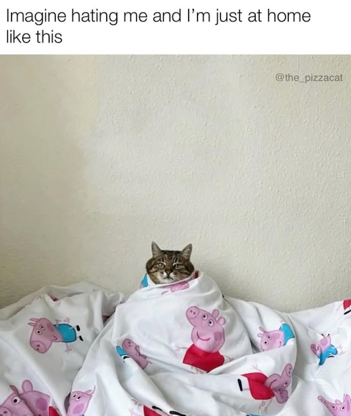 Imagine hating me and I'm just at home like this @the_pizzacat