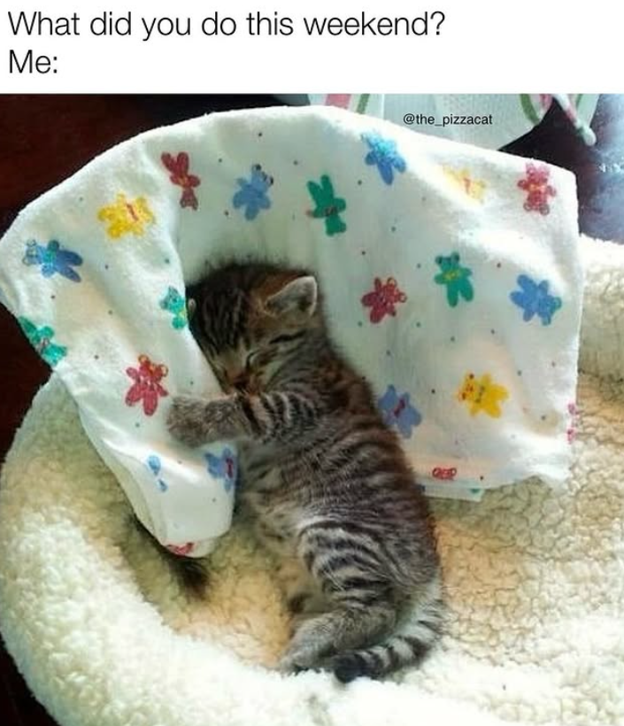 What did you do this weekend? Me: * @the_pizzacat QER