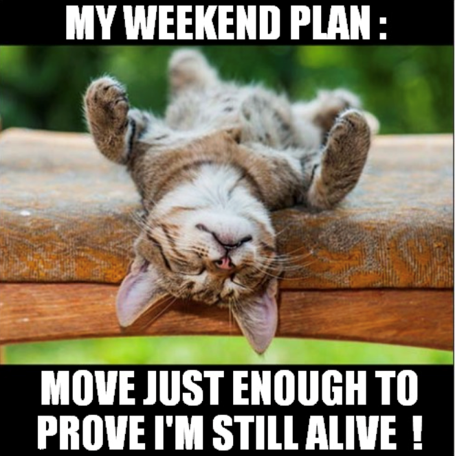  MOVE JUST ENOUGH TO PROVE I'M STILL ALIVE!