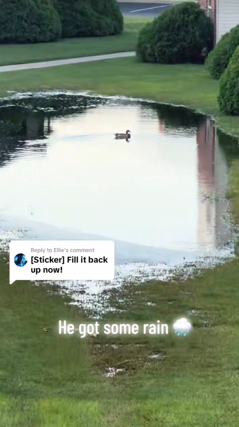 Reply to Ellie's comment [Sticker] Fill it back up now! He got some rain