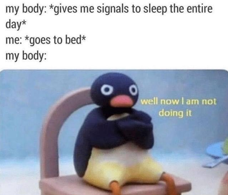 my body: *gives me signals to sleep the entire day* me: *goes to bed* my body: well now I am not doing it