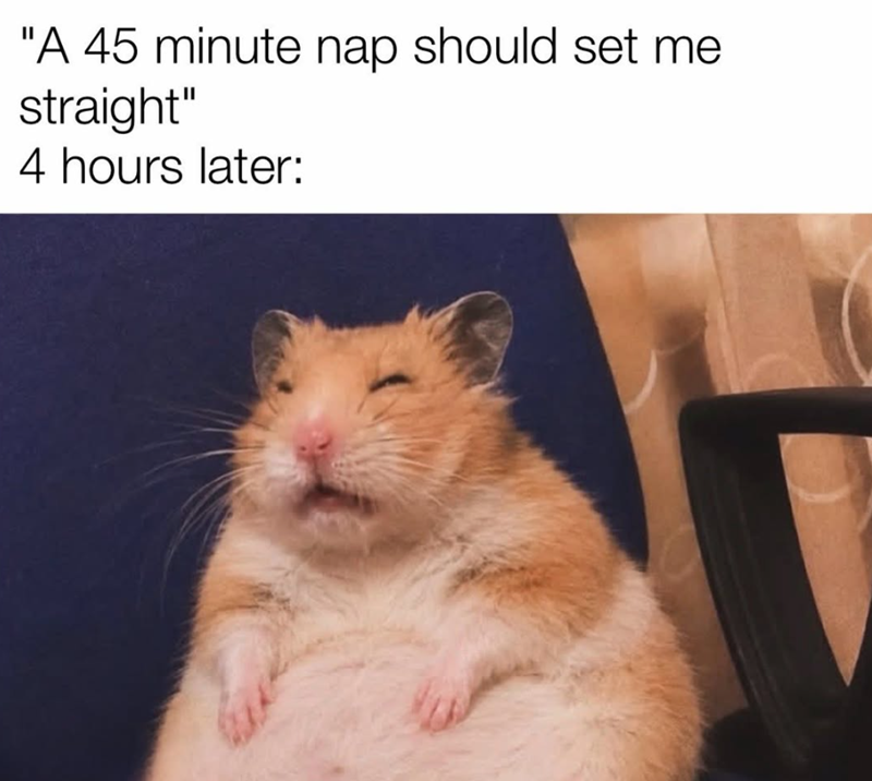 "A 45 minute nap should set me straight" 4 hours later: