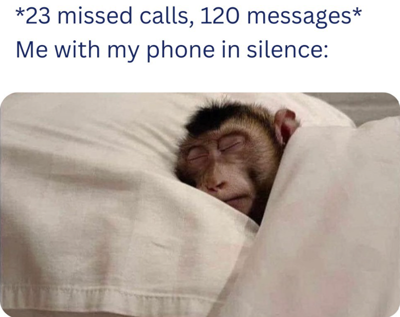 *23 missed calls, 120 messages* Me with my phone in silence: