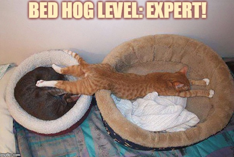  EXPERT!