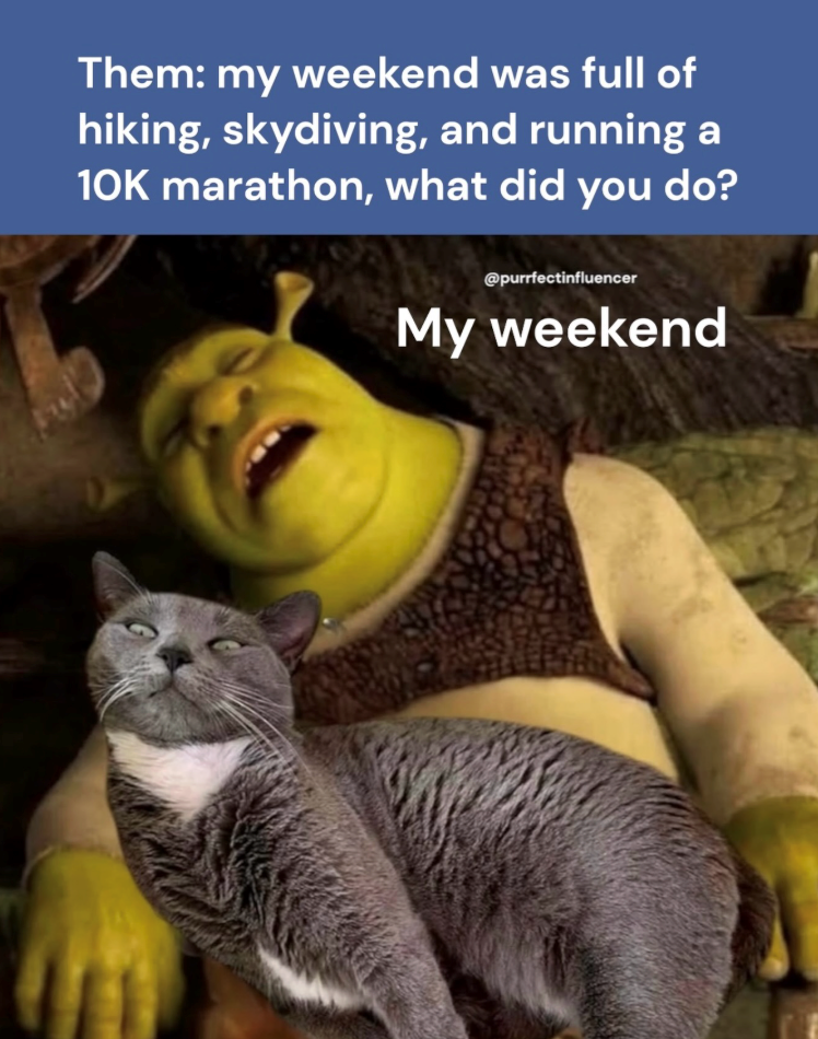  my weekend was full of hiking, skydiving, and running a 10K marathon, what did you do? @purrfectinfluencer My weekend