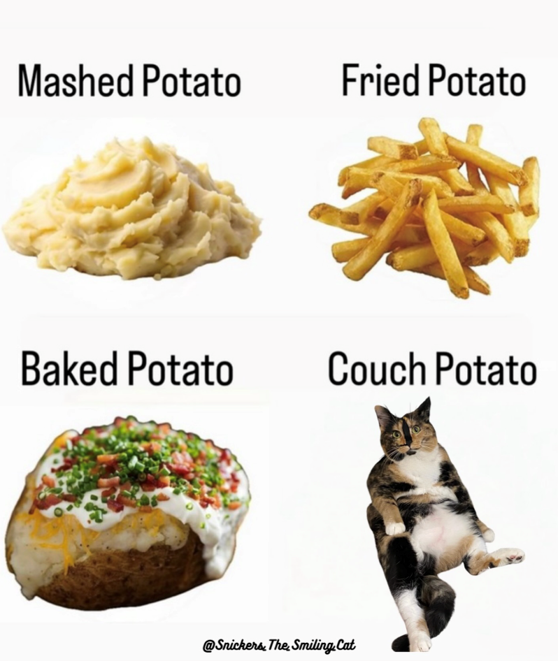 Mashed Potato Fried Potato Baked Potato Couch Potato @Snickers The Smiling. Cat
