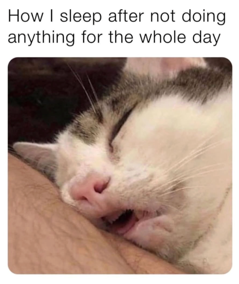 How I sleep after not doing anything for the whole day.
