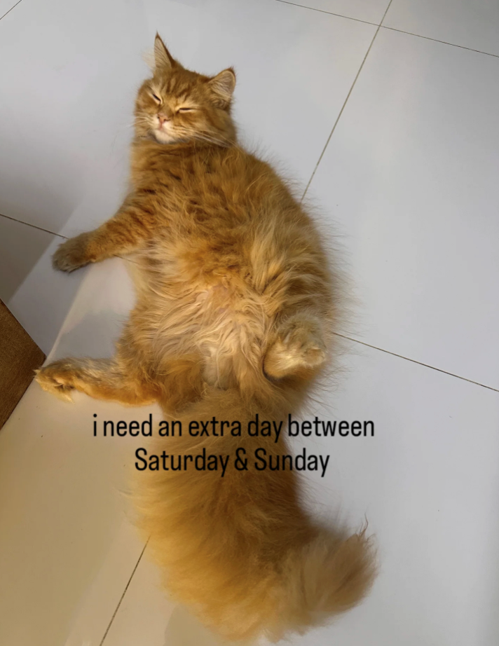 i need an extra day between Saturday & Sunday