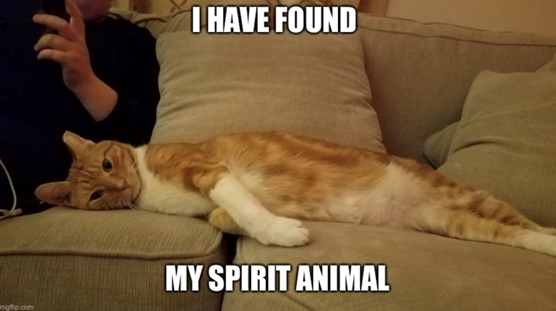 mgflip.com I HAVE FOUND MY SPIRIT ANIMAL