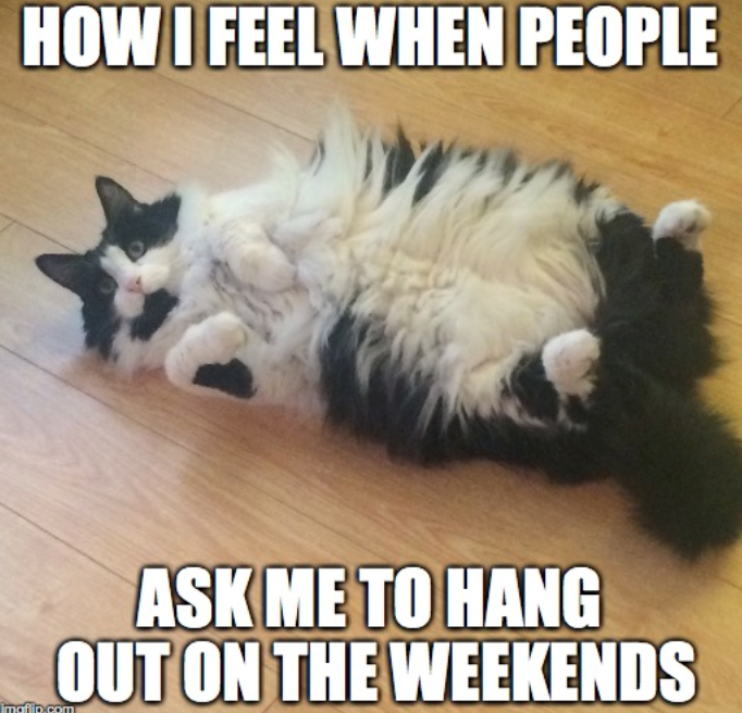 HOW I FEEL WHEN PEOPLE imafiio.com ASK ME TO HANG OUT ON THE WEEKENDS