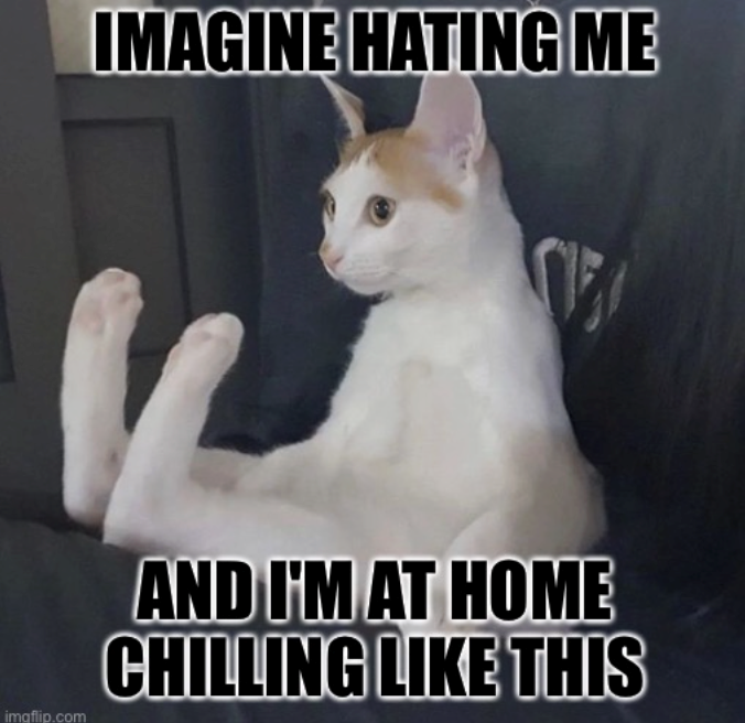 IMAGINE HATING ME imgflip.com AND I'M AT HOME CHILLING LIKE THIS