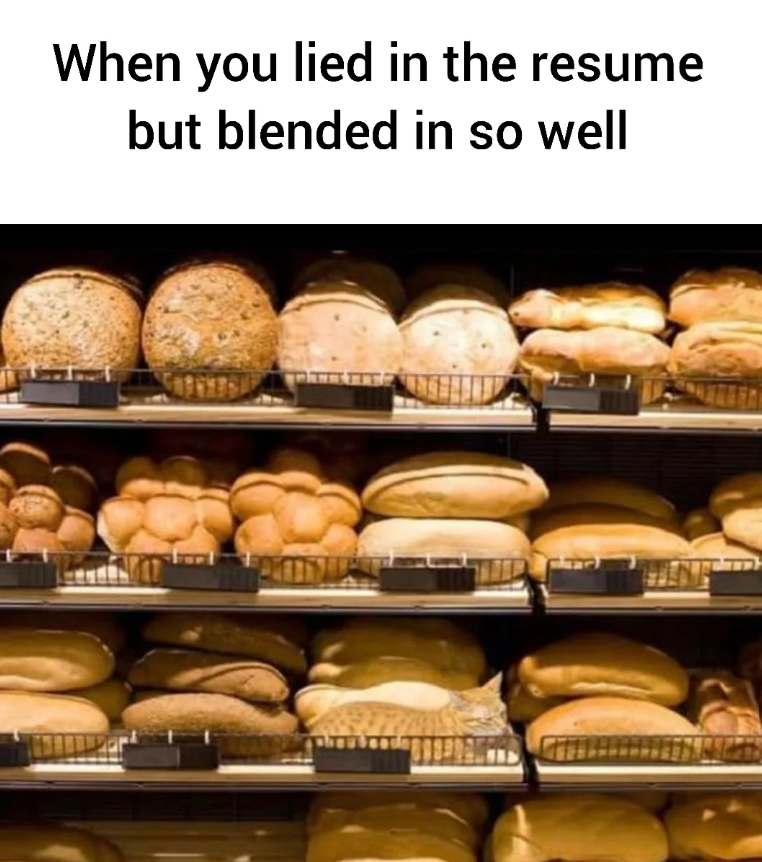 When you lied in the resume but blended in so well