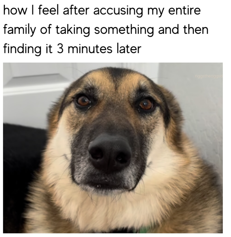 how I feel after accusing my entire family of taking something and then finding it 3 minutes later riggstheoggsa