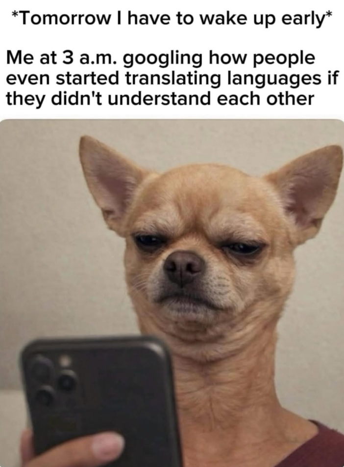 *Tomorrow I have to wake up early* Me at 3 a.m. googling how people even started translating languages if they didn't understand each other
