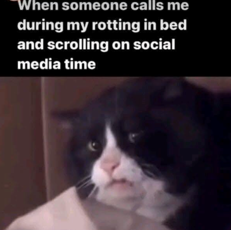 When someone calls me during my rotting in bed and scrolling on social media time