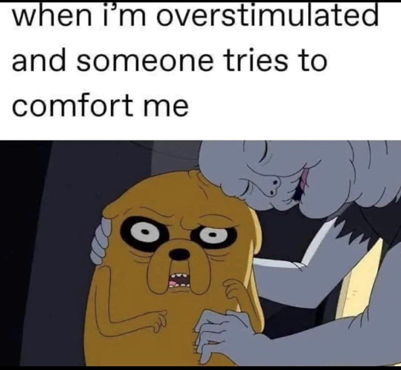 when i'm overstimulated and someone tries to comfort me