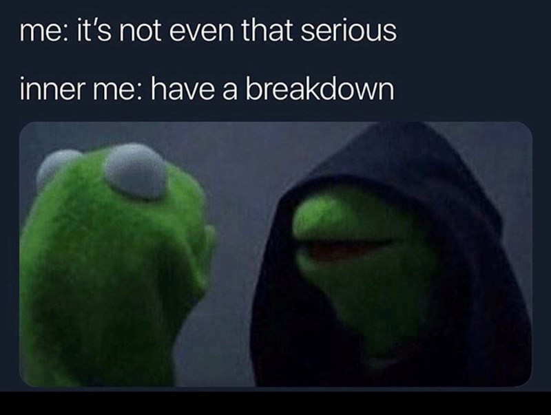 me: it's not even that serious inner me: have a breakdown