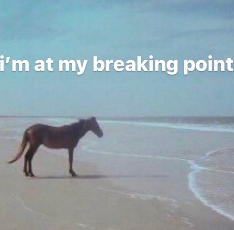 i'm at my breaking point