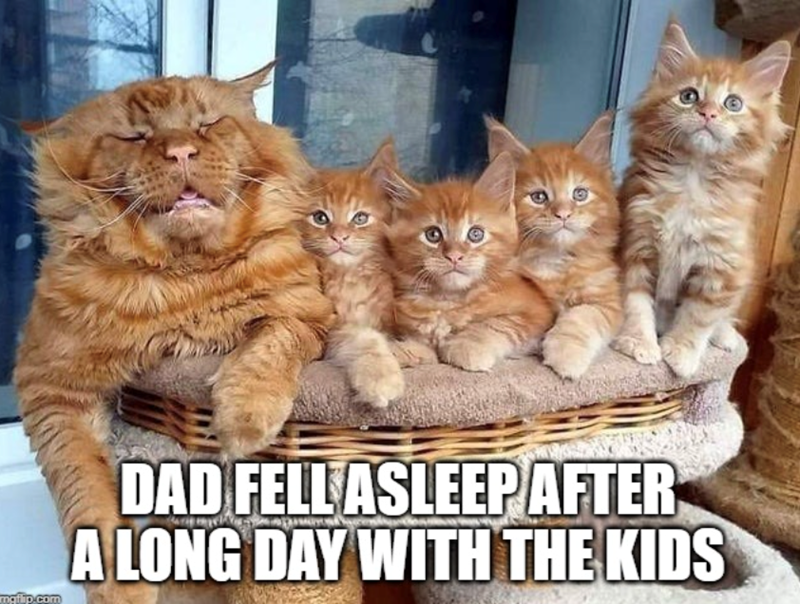 mgflip.com DAD FELL ASLEEP AFTER A LONG DAY WITH THE KIDS