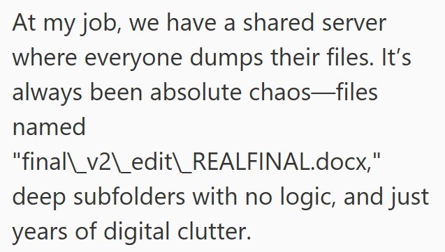 At my job, we have a shared server where everyone dumps their files. It's always been absolute chaos-files named "final\v2\edit\ REALFINAL.docx," deep subfolders with no logic, and just years of digital clutter.