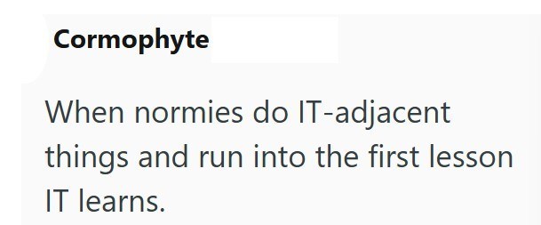 Cormophyte When normies do IT-adjacent things and run into the first lesson IT learns.
