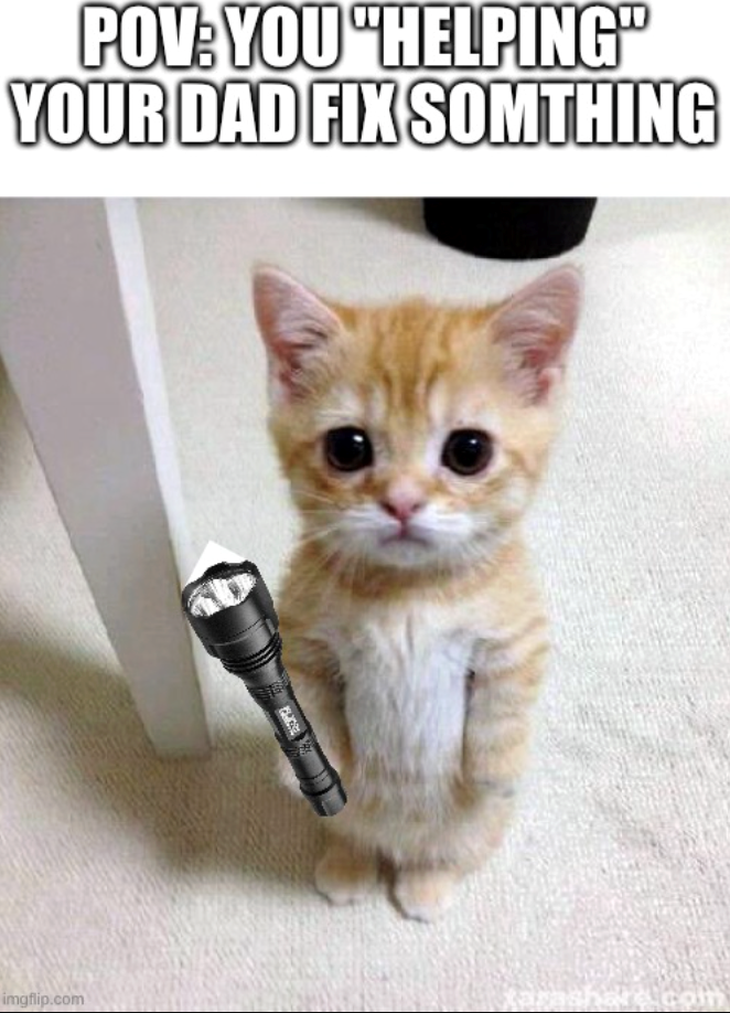 POV: YOU "HELPING" YOUR DAD FIX SOMTHING imgflip.com