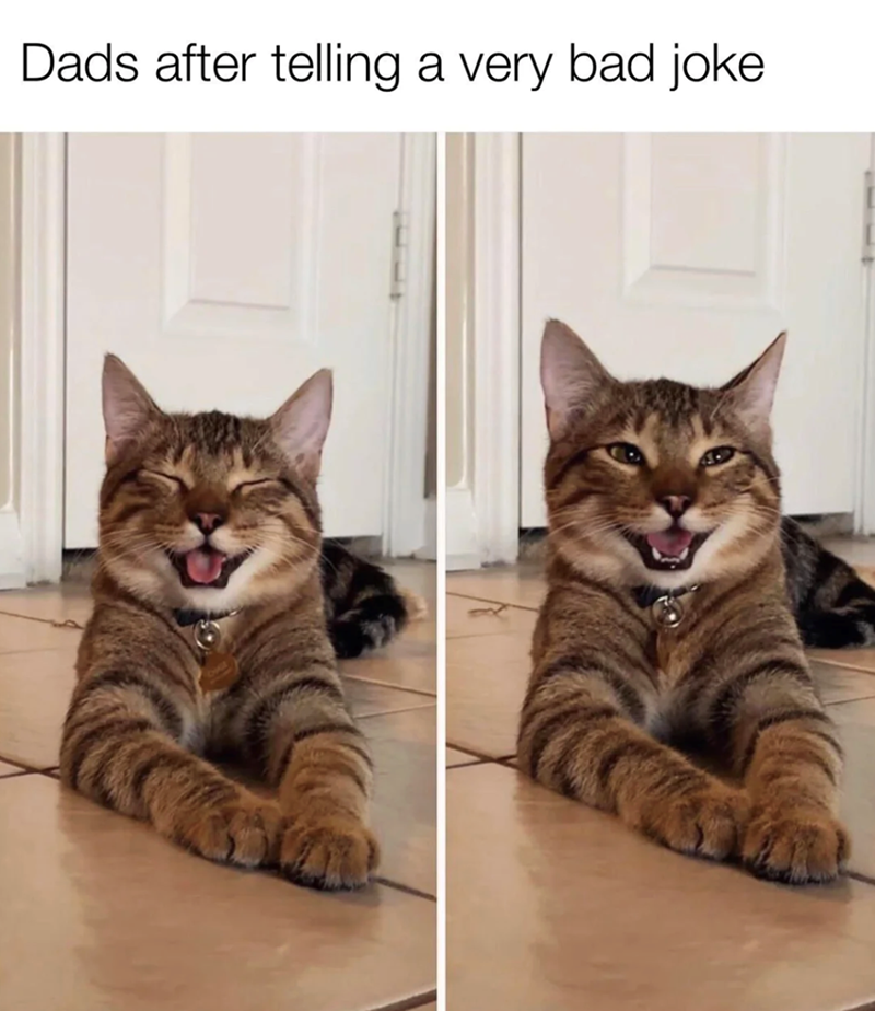 Dads after telling a very bad joke