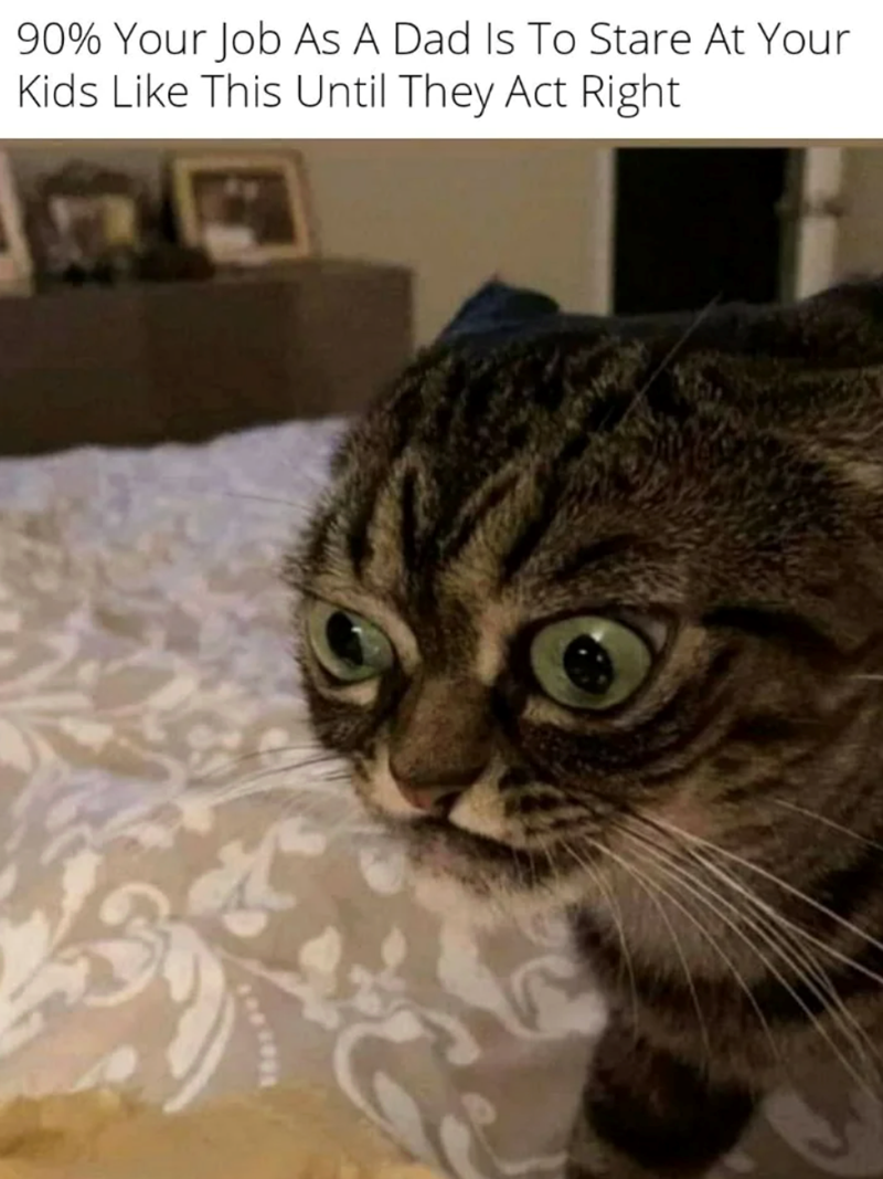 90% Your Job As A Dad Is To Stare At Your Kids Like This Until They Act Right