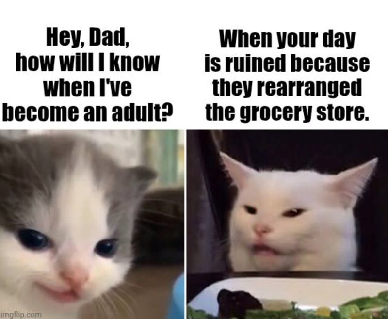 Hey, Dad, how will I know when I've become an adult? When your day is ruined because they rearranged the grocery store. imgflip.com
