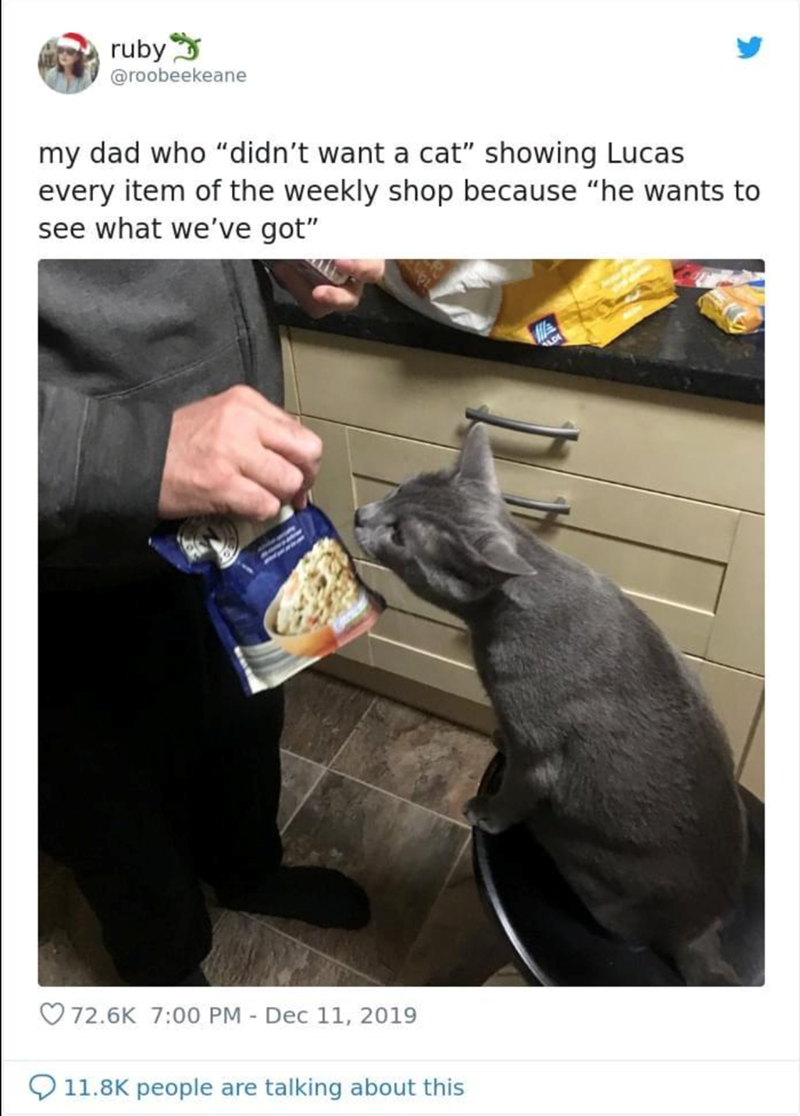 ruby @roobeekeane my dad who "didn't want a cat" showing Lucas every item of the weekly shop because "he wants to see what we've got" 72.6K 7:00 PM - Dec 11, 2019 11.8K people are talking about this LD