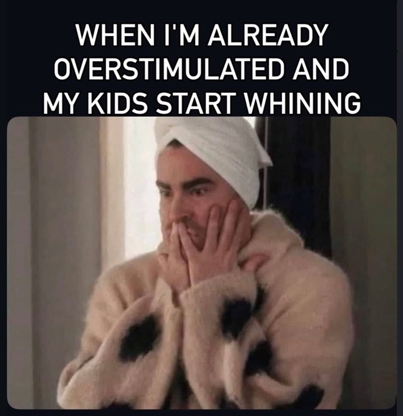 WHEN I'M ALREADY OVERSTIMULATED AND MY KIDS START WHINING
