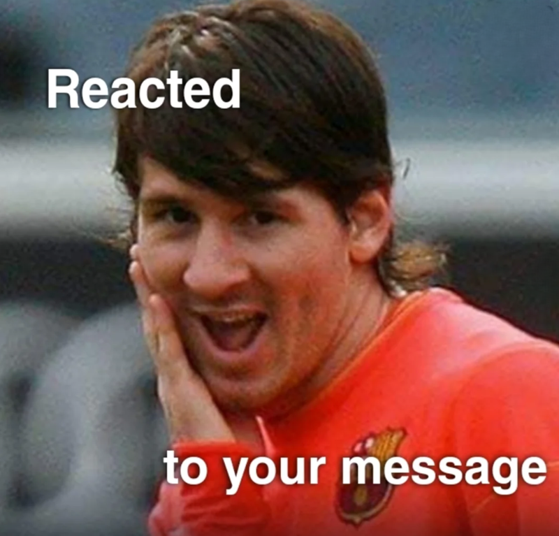 Reacted to your message