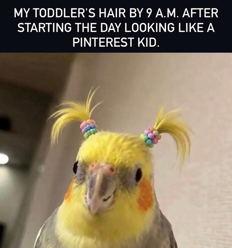 MY TODDLER'S HAIR BY 9 A.M. AFTER STARTING THE DAY LOOKING LIKE A PINTEREST KID.