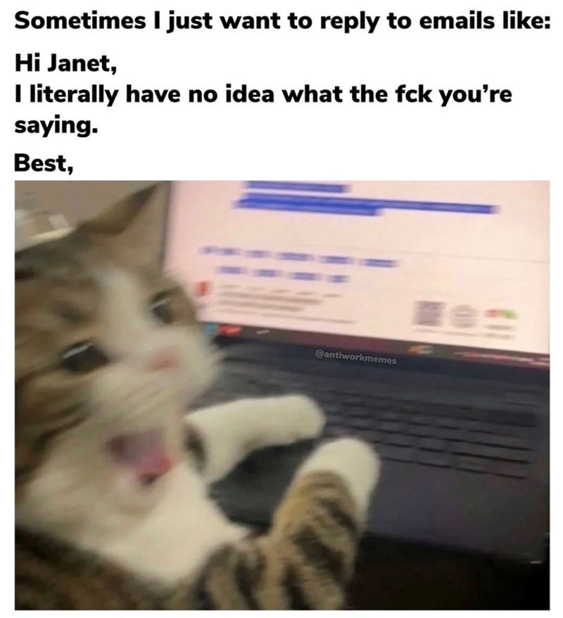 Sometimes I just want to reply to emails like: Hi Janet, I literally have no idea what the fck you're saying. Best, @antiworkmemes 註
