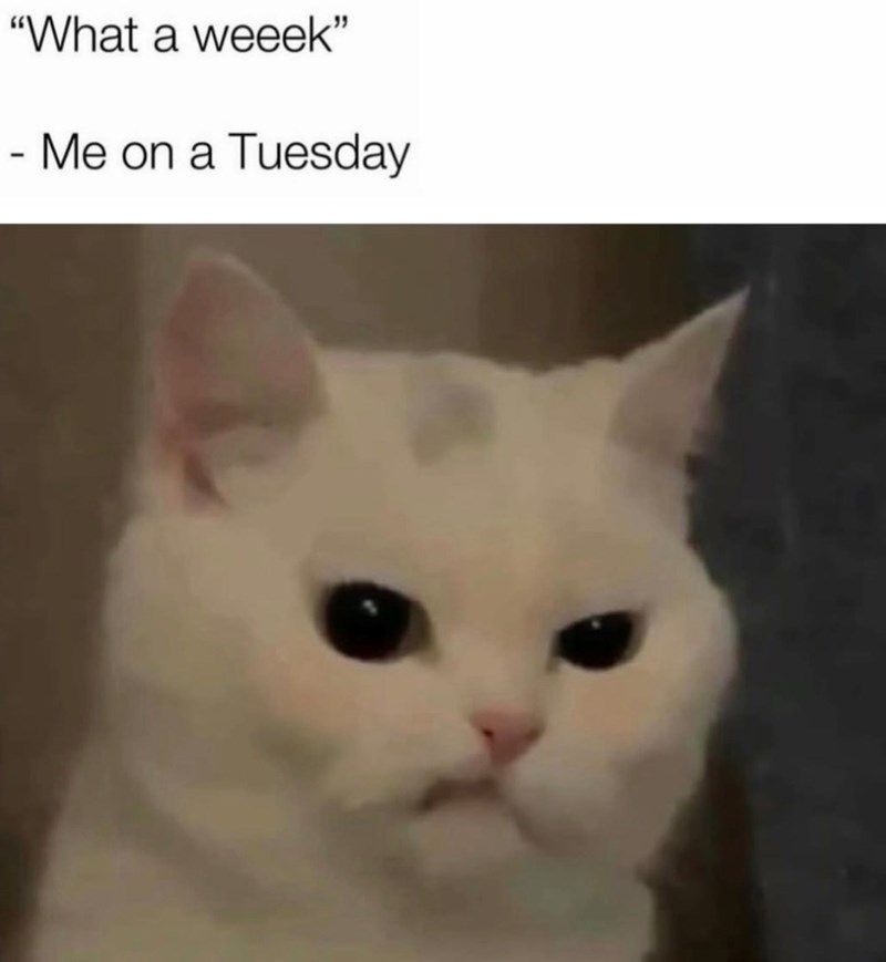 "What a weeek" - Me on a Tuesday